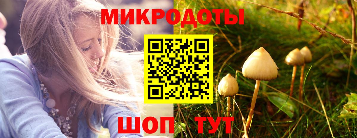 Галлюциногенные грибы Psilocybine cubensis  Псилоцибиновые грибы мухоморы  Вход с VPN  Россия 